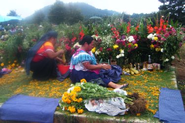 Imagen_Diplomado_Estudios.._